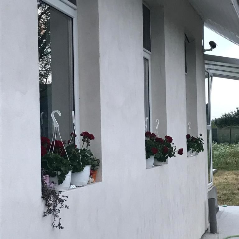 Дома для отпуска Calea Lui Traian Nr 36 Holiday Marcea-63